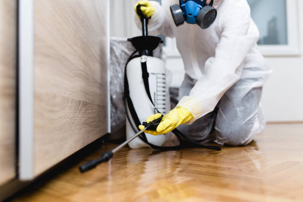 Best Affordable Pest Control Services  in Clearwater, MN