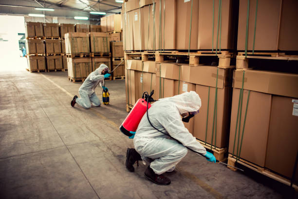 Best Wildlife Control Services  in Clearwater, MN