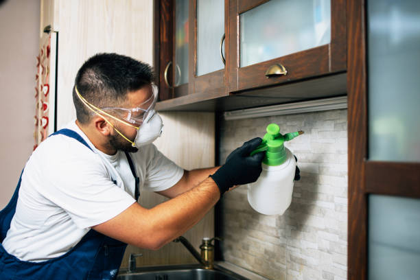 Best Exterminator Services  in Clearwater, MN