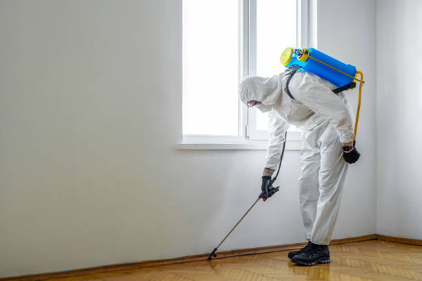 Best Emergency Pest Control  in Clearwater, MN