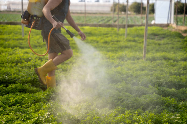 Best Best Pest Control Companies  in Clearwater, MN