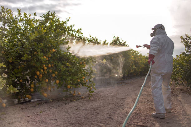 Best Mosquito Control Services  in Clearwater, MN