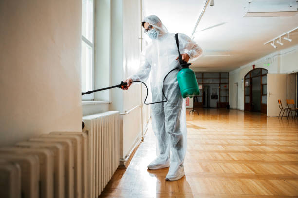 Best Termite Control Services  in Clearwater, MN