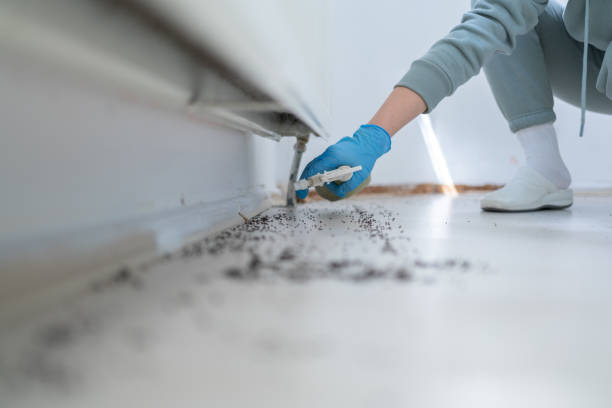 Best Bed Bug Extermination  in Clearwater, MN